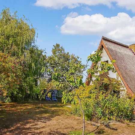 Holiday home Wustrow Neu Canow