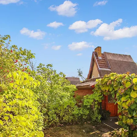 Holiday home Wustrow Neu Canow