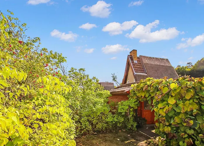 Prázdninový dům Wustrow Neu Canow